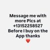 bardi455